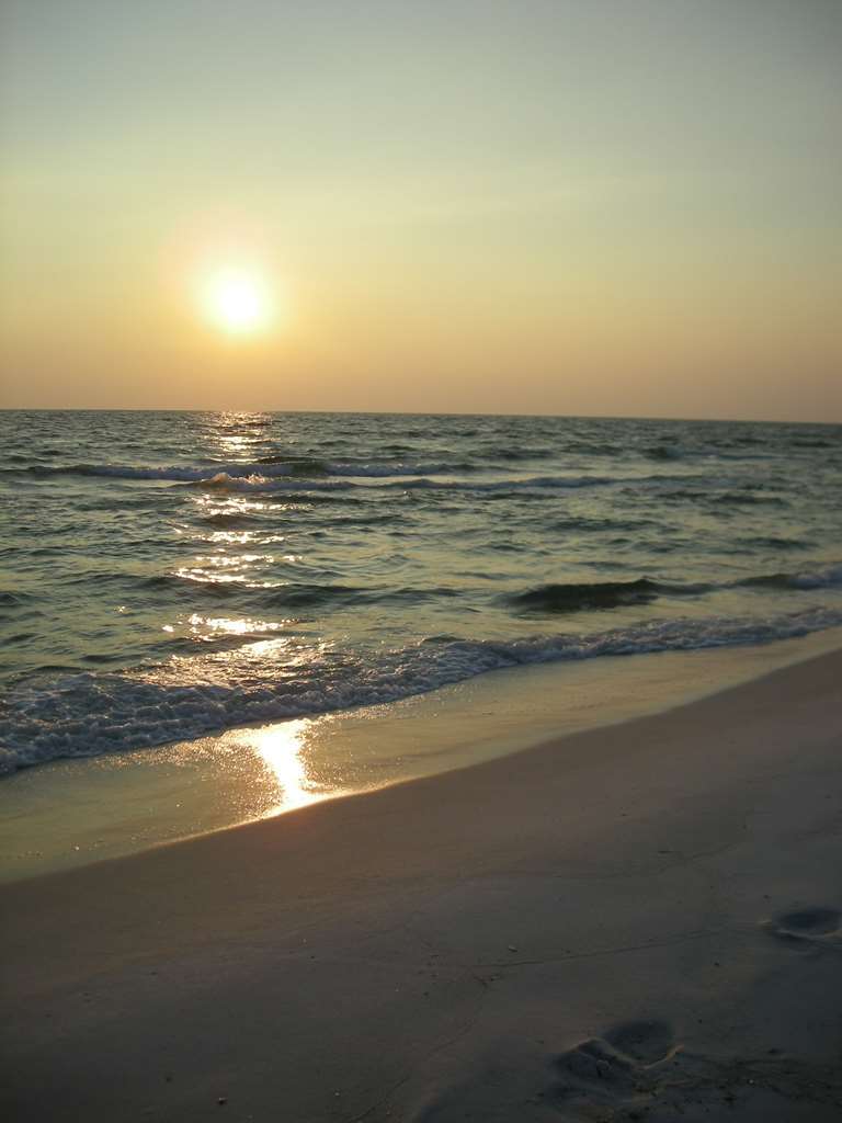 Hampton Inn By Hilton Panama City Beach Upper Grand Lagoon Natur foto
